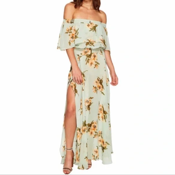 flynn skye floral maxi dress Flynn Skye | Dresses | Flynn Skye Miranda Mint Green Floral Maxi Dress